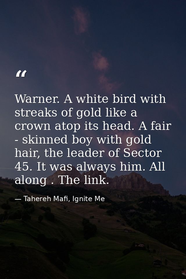 Warner. A white bird with streaks of gold like a crown atop its head. A fair - skinned boy with gold hair, the leader of — Tahereh Mafi, Ignite Me