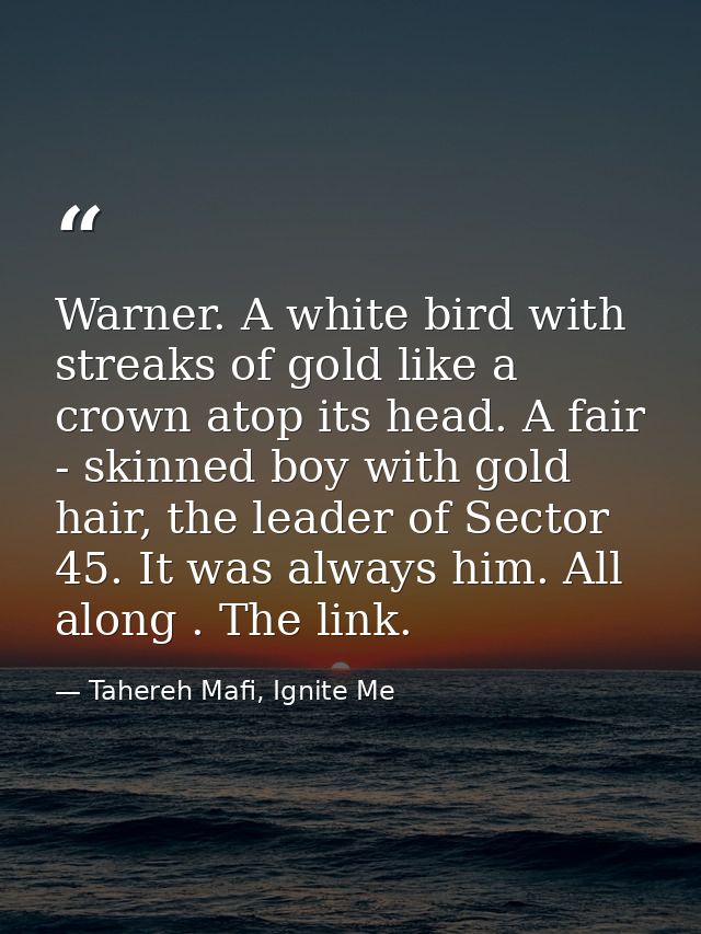 Warner. A white bird with streaks of gold like a crown atop its head. A fair - skinned boy with gold hair, the leader of — Tahereh Mafi, Ignite Me