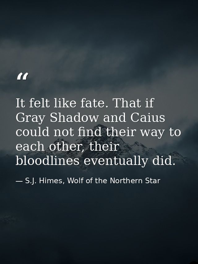 It felt like fate. That if Gray Shadow and Caius could not find their way to each other, their bloodlines eventually did — S.J. Himes, Wolf of the Northern Star