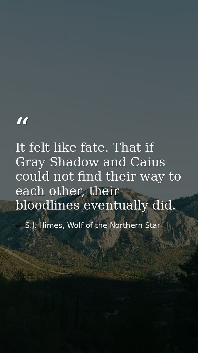 It felt like fate. That if Gray Shadow and Caius could not find their way to each other, their bloodlines eventually did — S.J. Himes, Wolf of the Northern Star