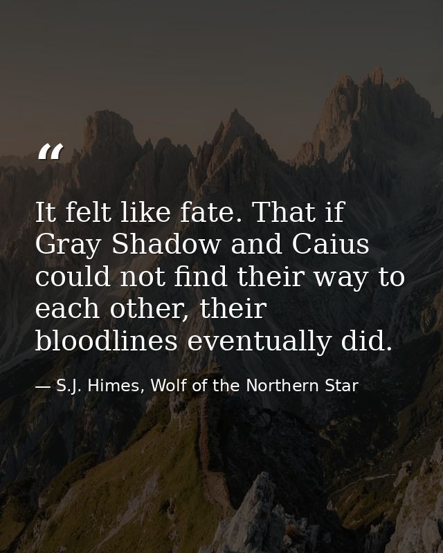It felt like fate. That if Gray Shadow and Caius could not find their way to each other, their bloodlines eventually did — S.J. Himes, Wolf of the Northern Star
