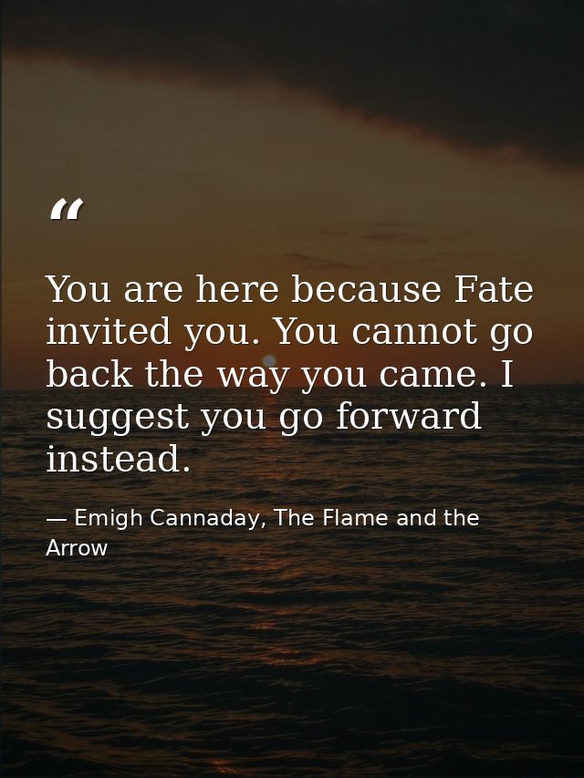 You are here because Fate invited you. You cannot go back the way you came. I suggest you go forward instead. — Emigh Cannaday, The Flame and the Arrow