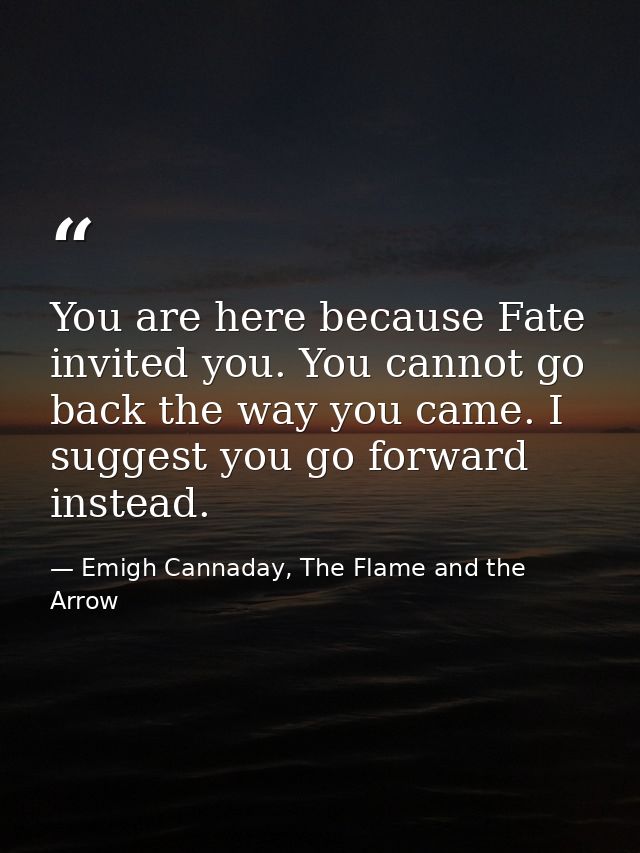 You are here because Fate invited you. You cannot go back the way you came. I suggest you go forward instead. — Emigh Cannaday, The Flame and the Arrow