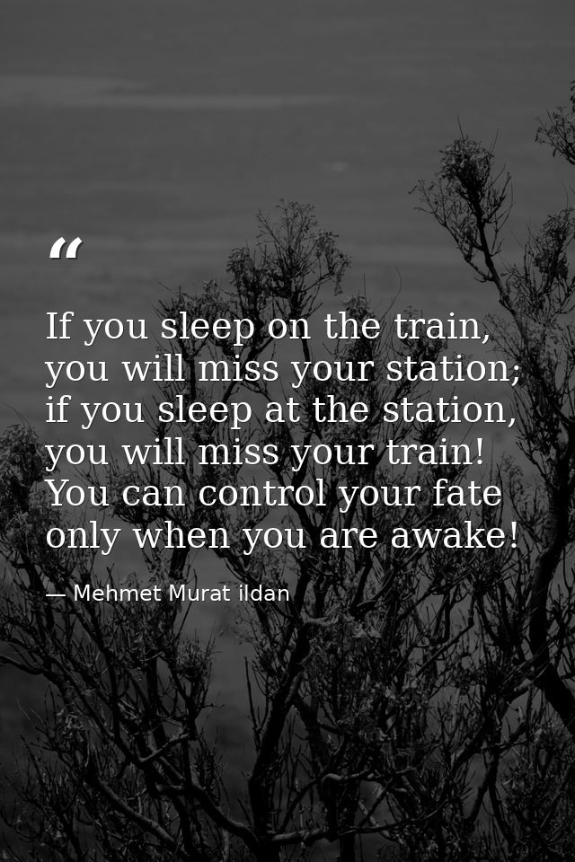 If you sleep on the train, you will miss your station; if you sleep at the station, you will miss your train! You can co — Mehmet Murat ildan