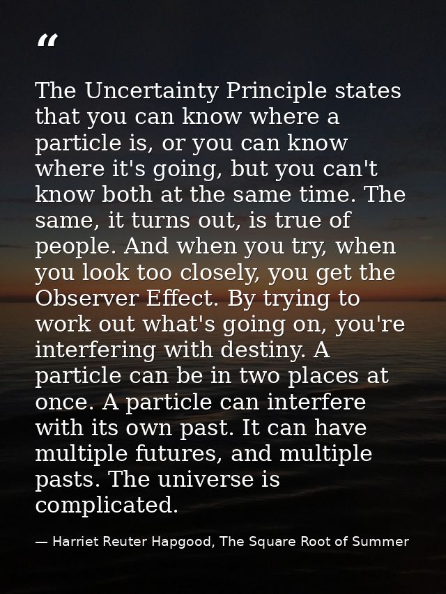 The Uncertainty Principle states that you can know where a particle is, or you can know where it's going, but you can't  — Harriet Reuter Hapgood, The Square Root of Summer
