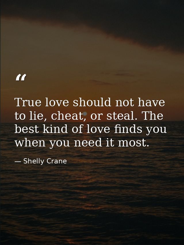 True love should not have to lie, cheat, or steal. The best kind of love finds you when you need it most. — Shelly Crane