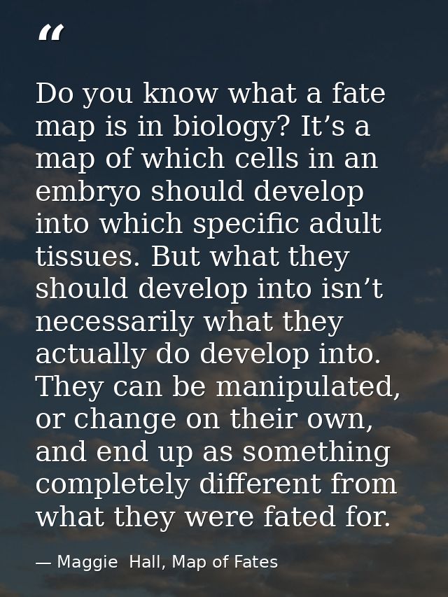 Do you know what a fate map is in biology? It’s a map of which cells in an embryo should develop into which specific adu — Maggie  Hall, Map of Fates