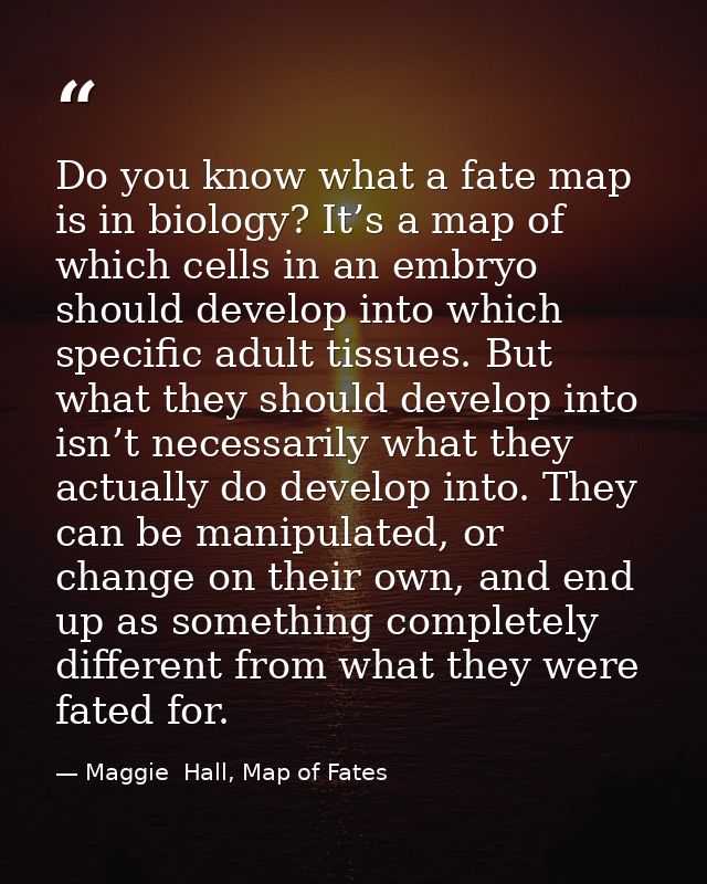 Do you know what a fate map is in biology? It’s a map of which cells in an embryo should develop into which specific adu — Maggie  Hall, Map of Fates