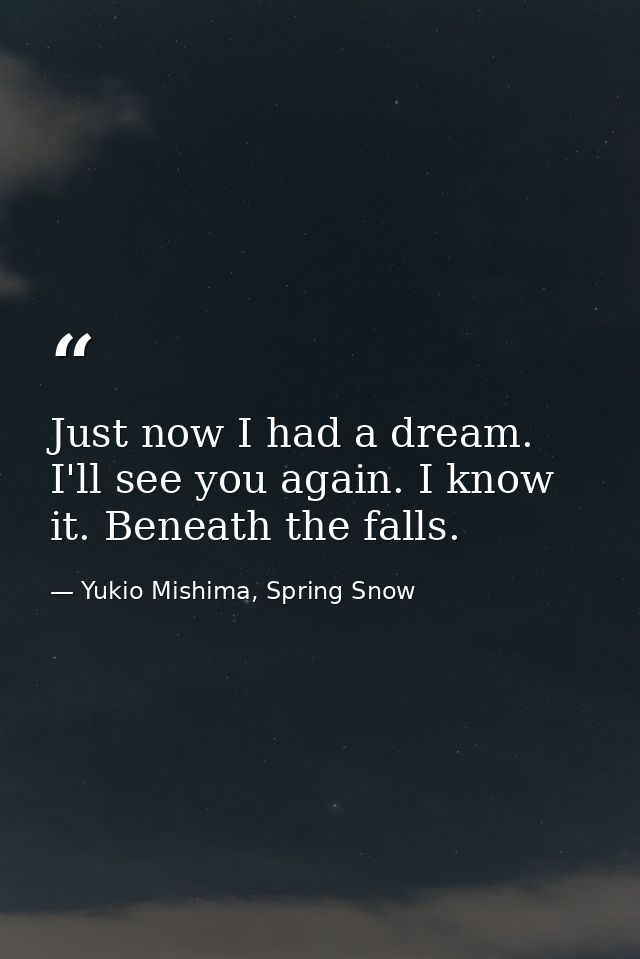 Just now I had a dream. I'll see you again. I know it. Beneath the falls. — Yukio Mishima, Spring Snow