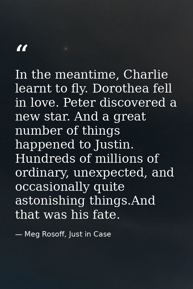 In the meantime, Charlie learnt to fly. Dorothea fell in love. Peter discovered a new star. And a great number of things — Meg Rosoff, Just in Case