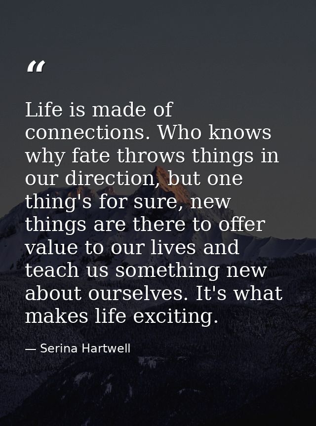 Life is made of connections. Who knows why fate throws things in our direction, but one thing's for sure, new things are — Serina Hartwell
