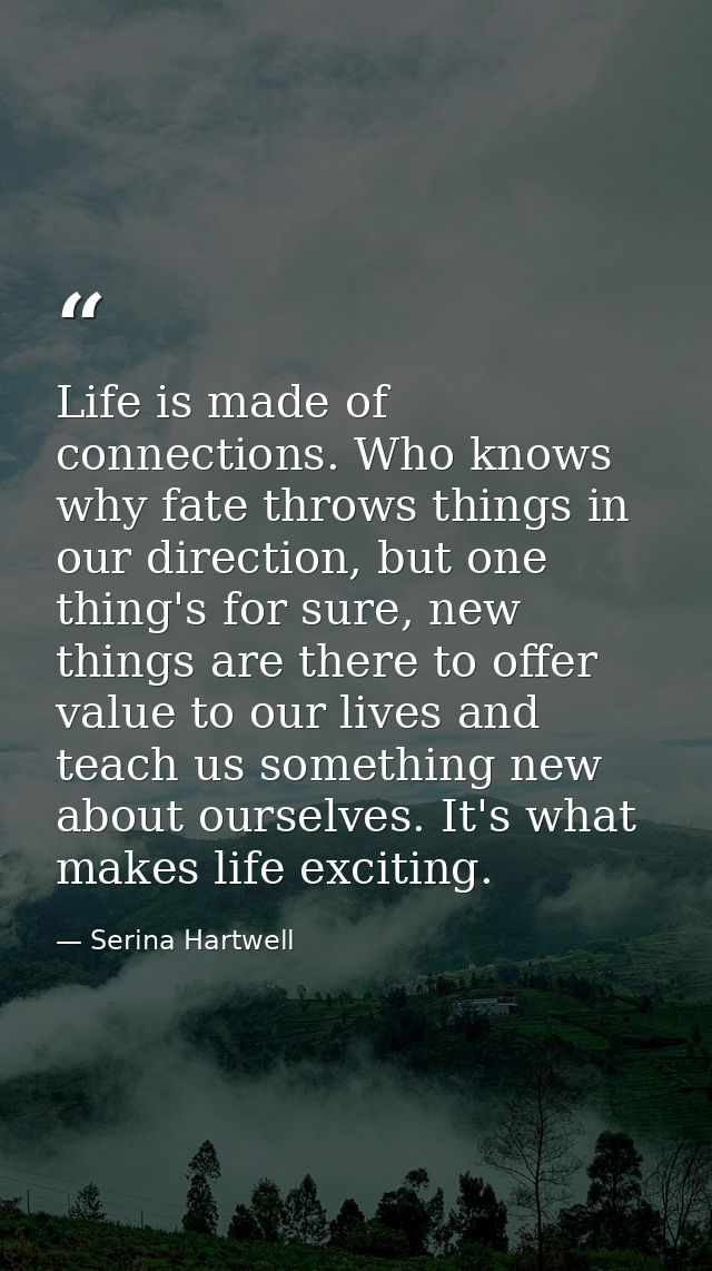 Life is made of connections. Who knows why fate throws things in our direction, but one thing's for sure, new things are — Serina Hartwell