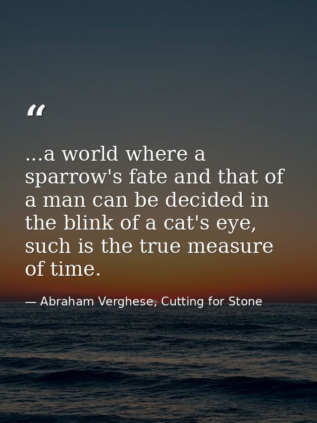 ...a world where a sparrow's fate and that of a man can be decided in the blink of a cat's eye, such is the true measure — Abraham Verghese, Cutting for Stone