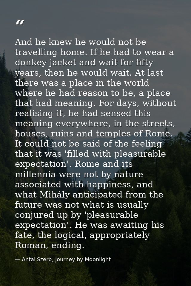 And he knew he would not be travelling home. If he had to wear a donkey jacket and wait for fifty years, then he would w — Antal Szerb, Journey by Moonlight