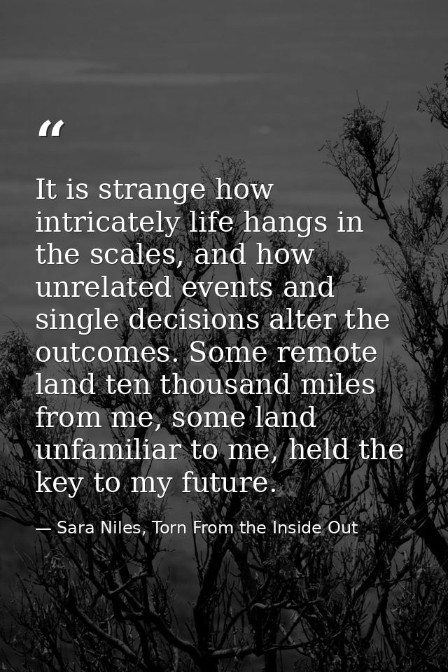It is strange how intricately life hangs in the scales, and how unrelated events and single decisions alter the outcomes — Sara Niles, Torn From the Inside Out