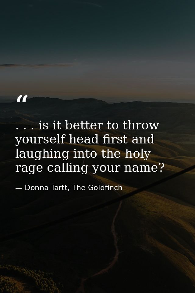 . . . is it better to throw yourself head first and laughing into the holy rage calling your name? — Donna Tartt, The Goldfinch