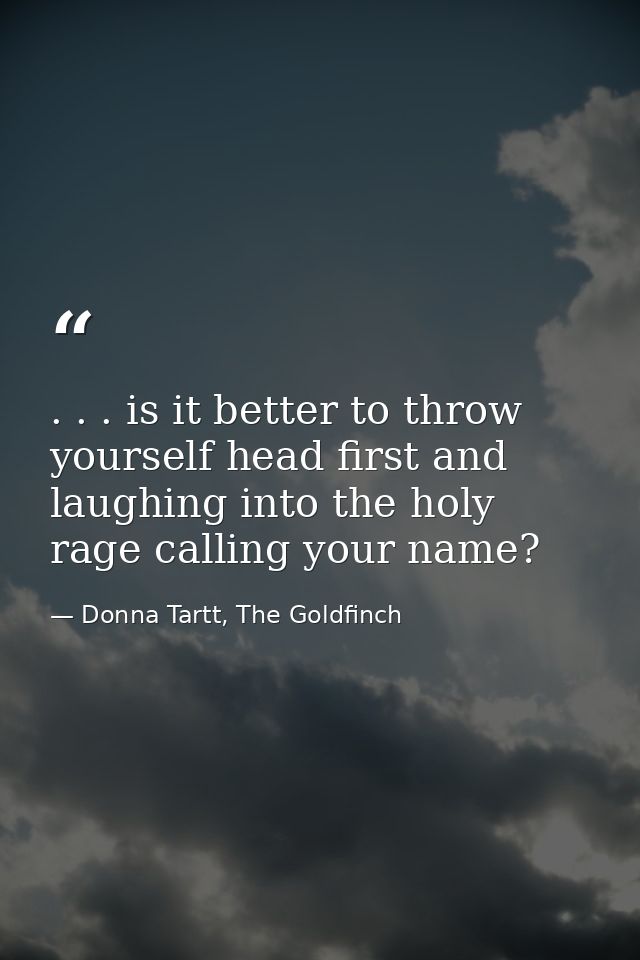 . . . is it better to throw yourself head first and laughing into the holy rage calling your name? — Donna Tartt, The Goldfinch