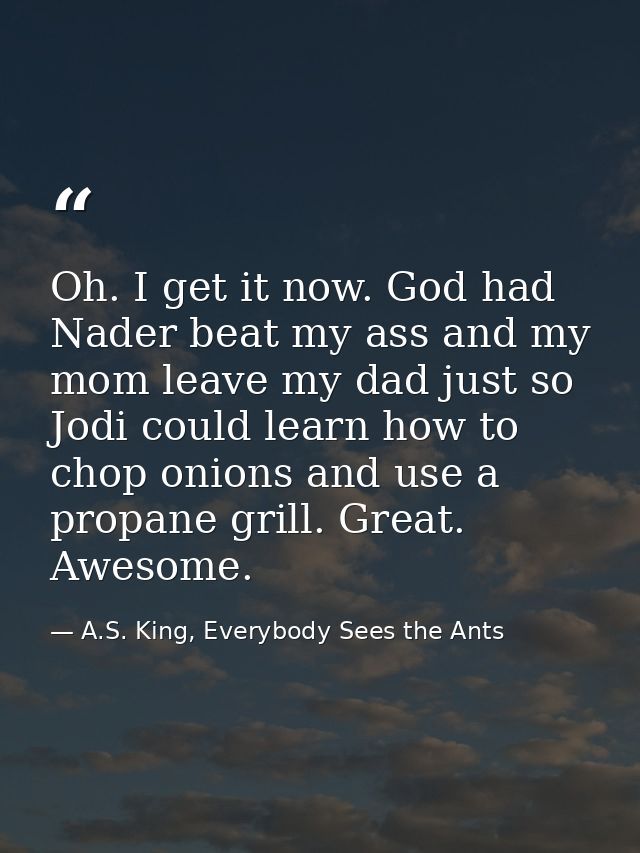 Oh. I get it now. God had Nader beat my ass and my mom leave my dad just so Jodi could learn how to chop onions and use  — A.S. King, Everybody Sees the Ants