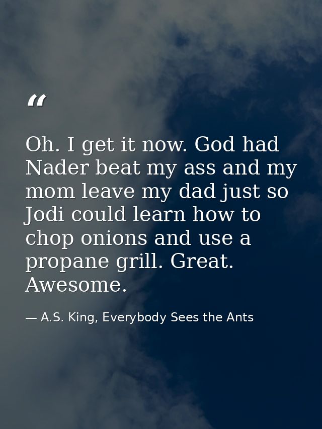 Oh. I get it now. God had Nader beat my ass and my mom leave my dad just so Jodi could learn how to chop onions and use  — A.S. King, Everybody Sees the Ants
