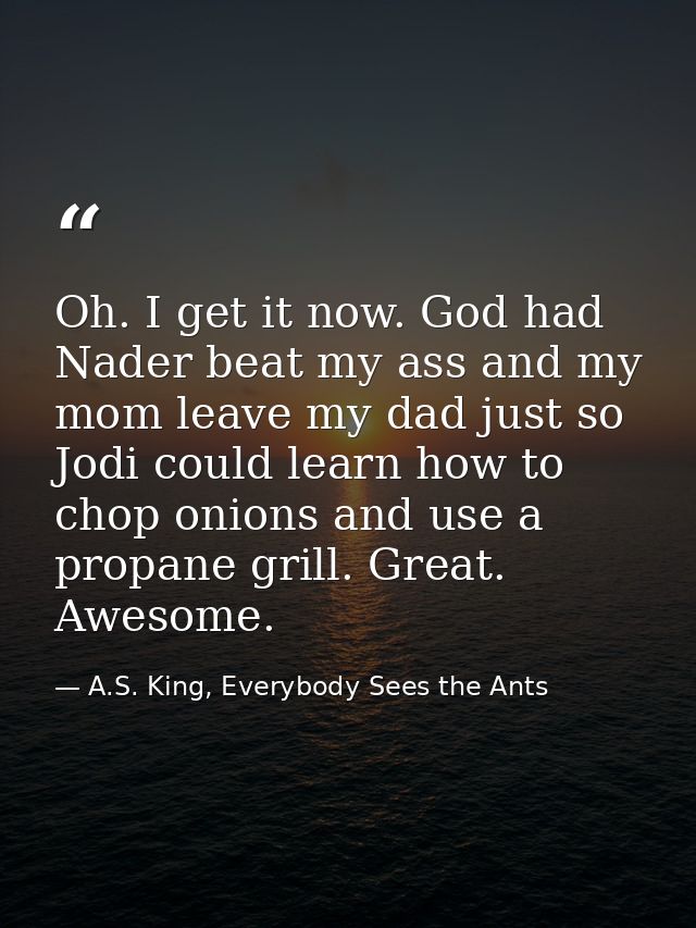 Oh. I get it now. God had Nader beat my ass and my mom leave my dad just so Jodi could learn how to chop onions and use  — A.S. King, Everybody Sees the Ants