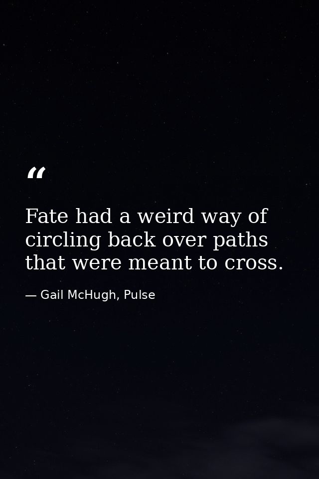 Fate had a weird way of circling back over paths that were meant to cross. — Gail McHugh, Pulse