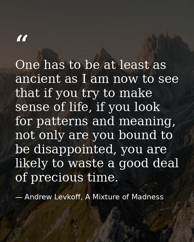 One has to be at least as ancient as I am now to see that if you try to make sense of life, if you look for patterns and — Andrew Levkoff, A Mixture of Madness
