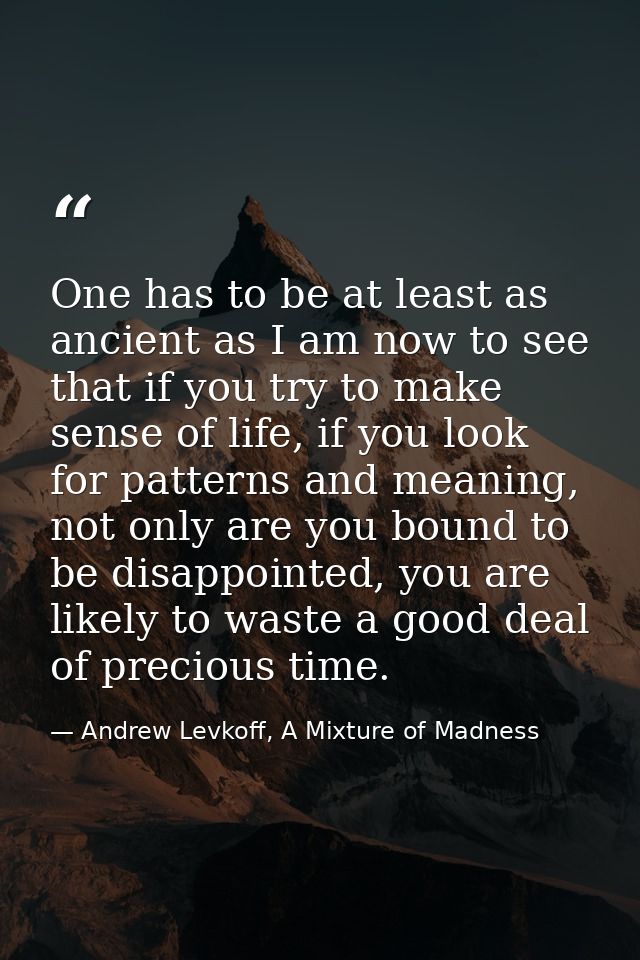One has to be at least as ancient as I am now to see that if you try to make sense of life, if you look for patterns and — Andrew Levkoff, A Mixture of Madness