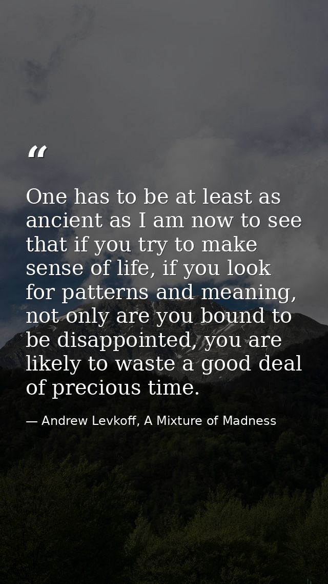 One has to be at least as ancient as I am now to see that if you try to make sense of life, if you look for patterns and — Andrew Levkoff, A Mixture of Madness