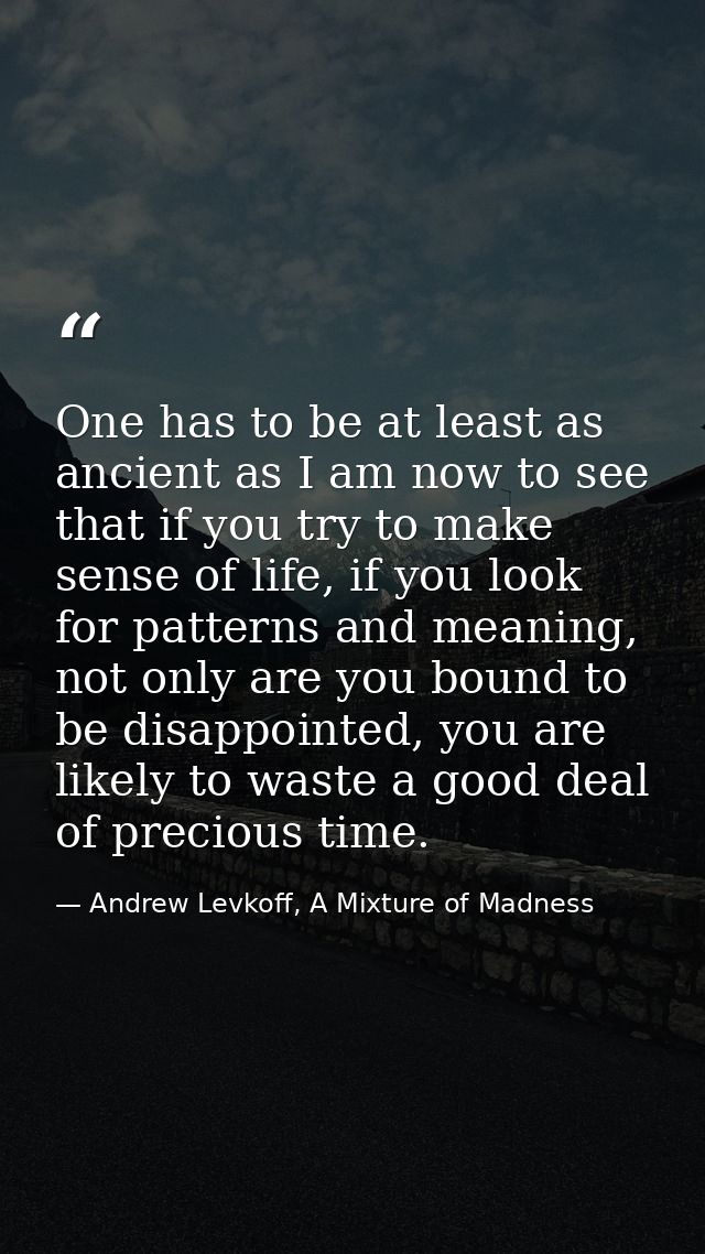 One has to be at least as ancient as I am now to see that if you try to make sense of life, if you look for patterns and — Andrew Levkoff, A Mixture of Madness