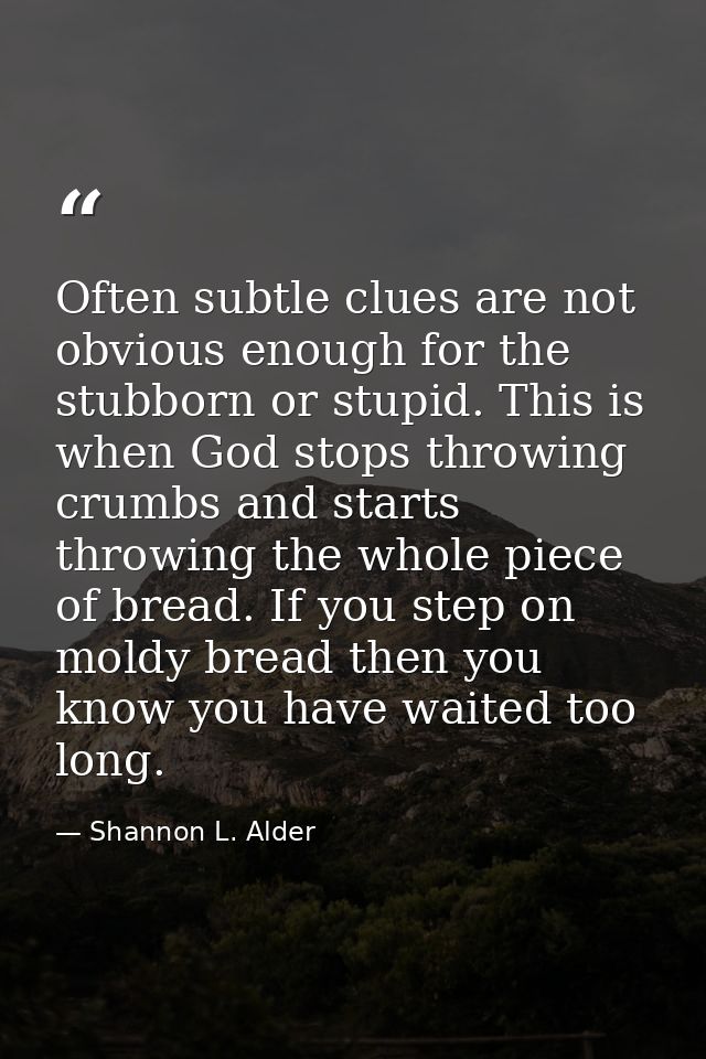 Often subtle clues are not obvious enough for the stubborn or stupid. This is when God stops throwing crumbs and starts  — Shannon L. Alder