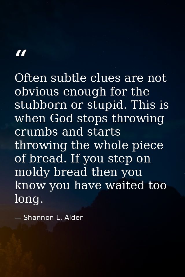 Often subtle clues are not obvious enough for the stubborn or stupid. This is when God stops throwing crumbs and starts  — Shannon L. Alder