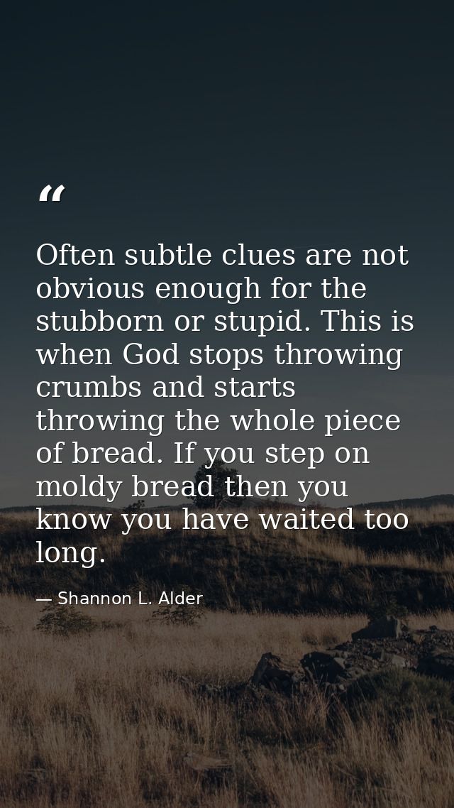 Often subtle clues are not obvious enough for the stubborn or stupid. This is when God stops throwing crumbs and starts  — Shannon L. Alder