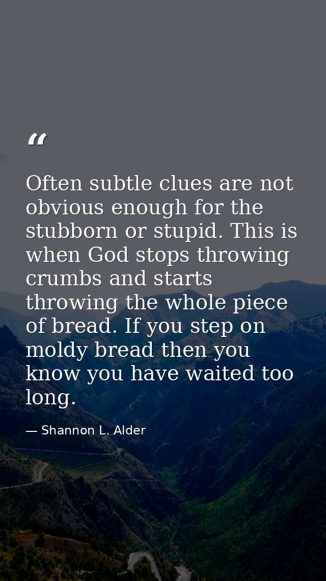 Often subtle clues are not obvious enough for the stubborn or stupid. This is when God stops throwing crumbs and starts  — Shannon L. Alder