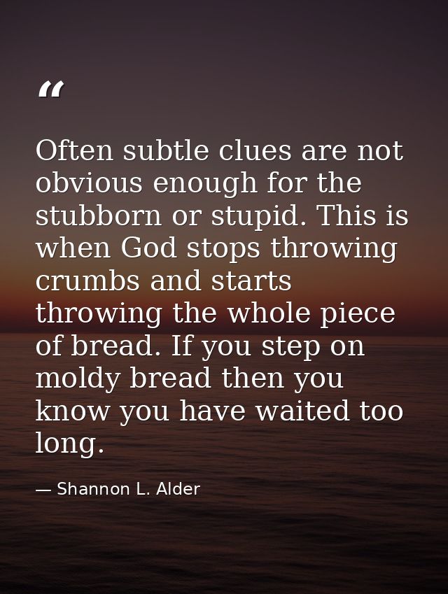 Often subtle clues are not obvious enough for the stubborn or stupid. This is when God stops throwing crumbs and starts  — Shannon L. Alder