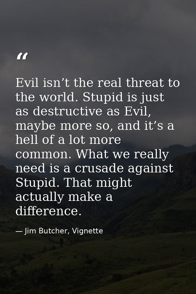 Evil isn’t the real threat to the world. Stupid is just as destructive as Evil, maybe more so, and it’s a hell of a lot  — Jim Butcher, Vignette