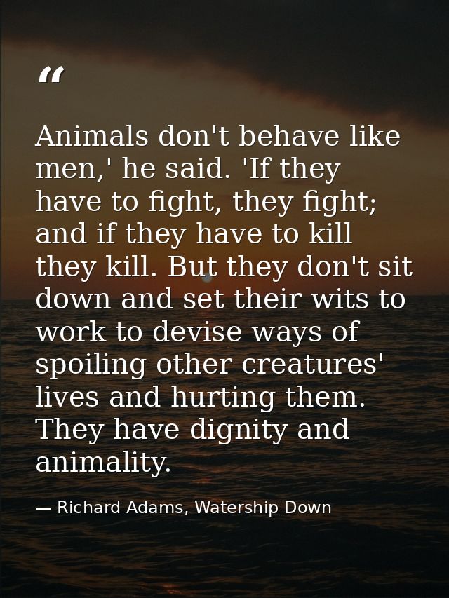 Animals don't behave like men,' he said. 'If they have to fight, they fight; and if they have to kill they kill. But the — Richard Adams, Watership Down