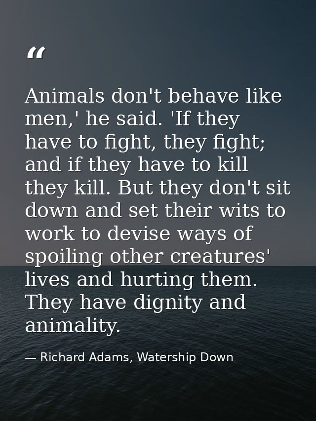 Animals don't behave like men,' he said. 'If they have to fight, they fight; and if they have to kill they kill. But the — Richard Adams, Watership Down