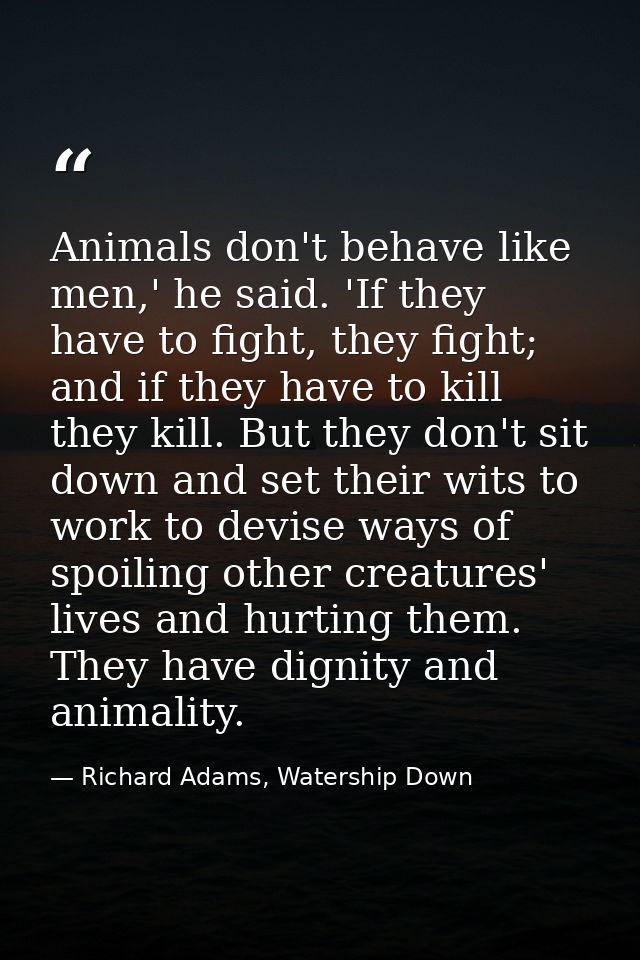 Animals don't behave like men,' he said. 'If they have to fight, they fight; and if they have to kill they kill. But the — Richard Adams, Watership Down
