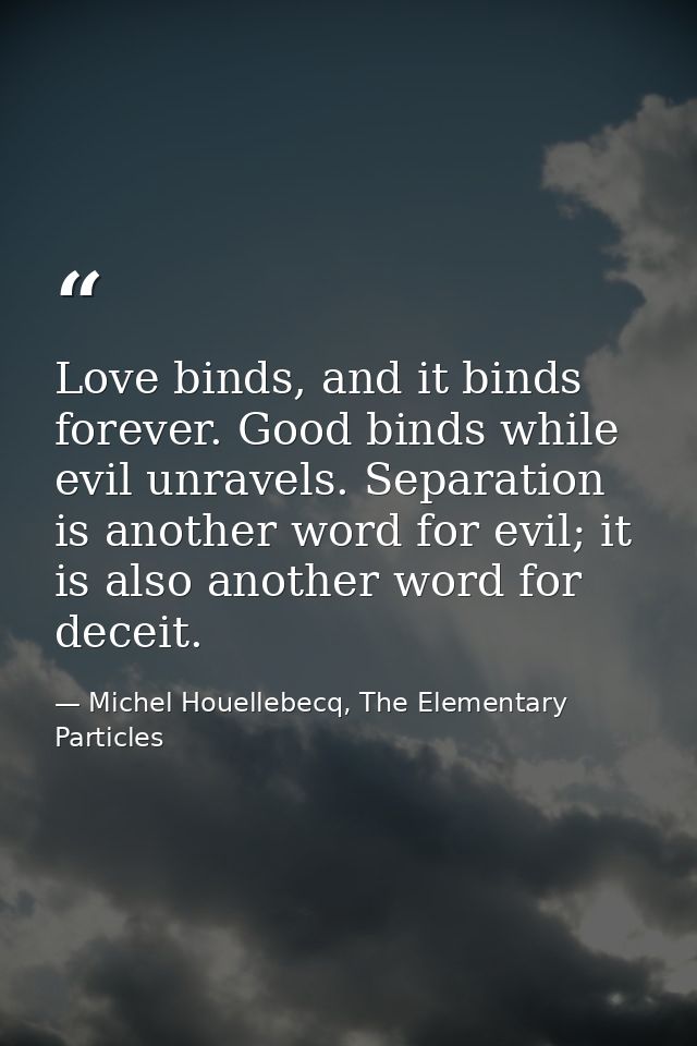 Love binds, and it binds forever. Good binds while evil unravels. Separation is another word for evil; it is also anothe — Michel Houellebecq, The Elementary Particles