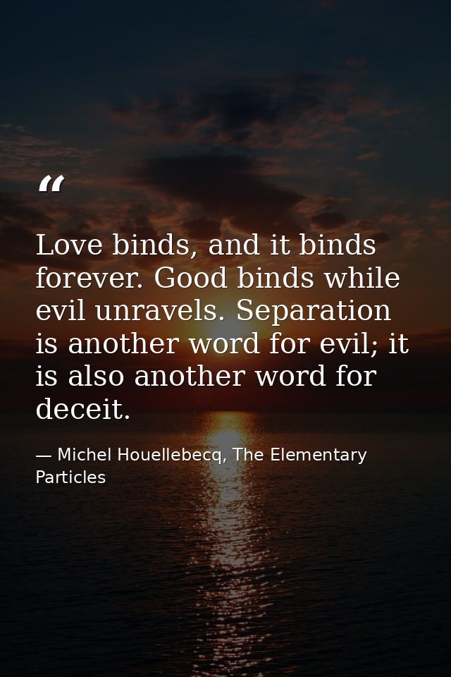 Love binds, and it binds forever. Good binds while evil unravels. Separation is another word for evil; it is also anothe — Michel Houellebecq, The Elementary Particles