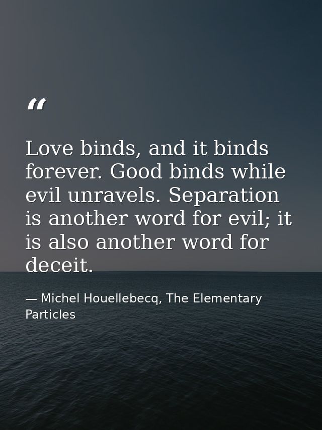 Love binds, and it binds forever. Good binds while evil unravels. Separation is another word for evil; it is also anothe — Michel Houellebecq, The Elementary Particles