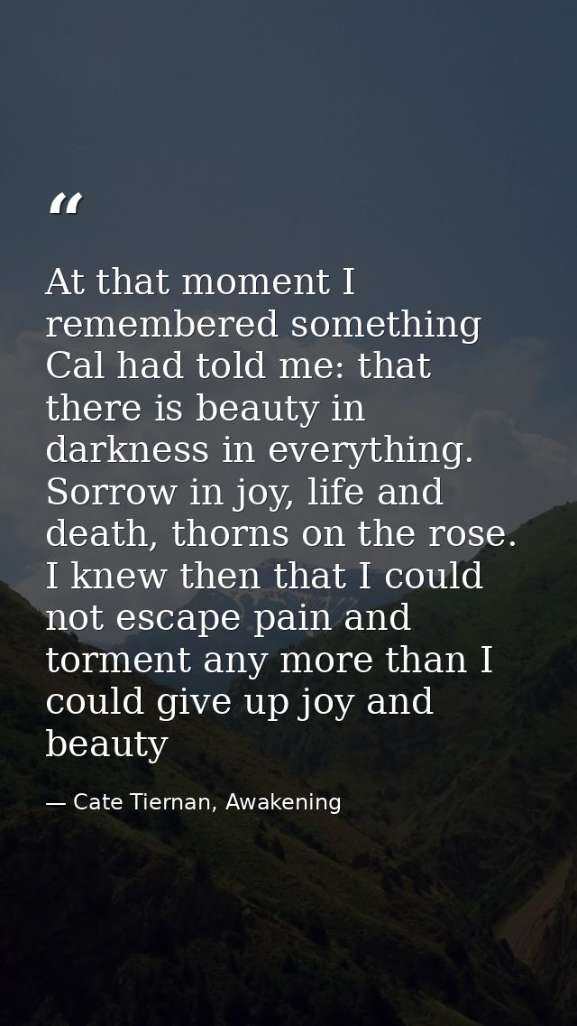 At that moment I remembered something Cal had told me: that there is beauty in darkness in everything. Sorrow in joy, li — Cate Tiernan, Awakening