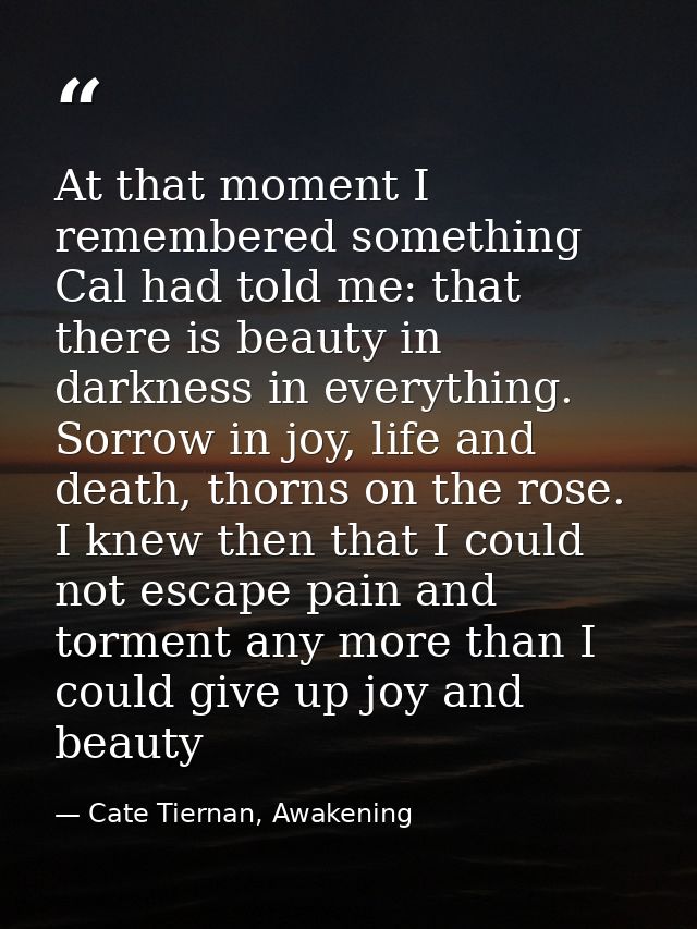 At that moment I remembered something Cal had told me: that there is beauty in darkness in everything. Sorrow in joy, li — Cate Tiernan, Awakening