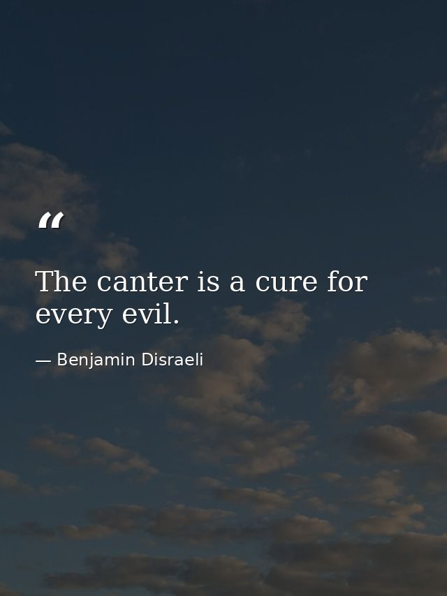 The canter is a cure for every evil. — Benjamin Disraeli