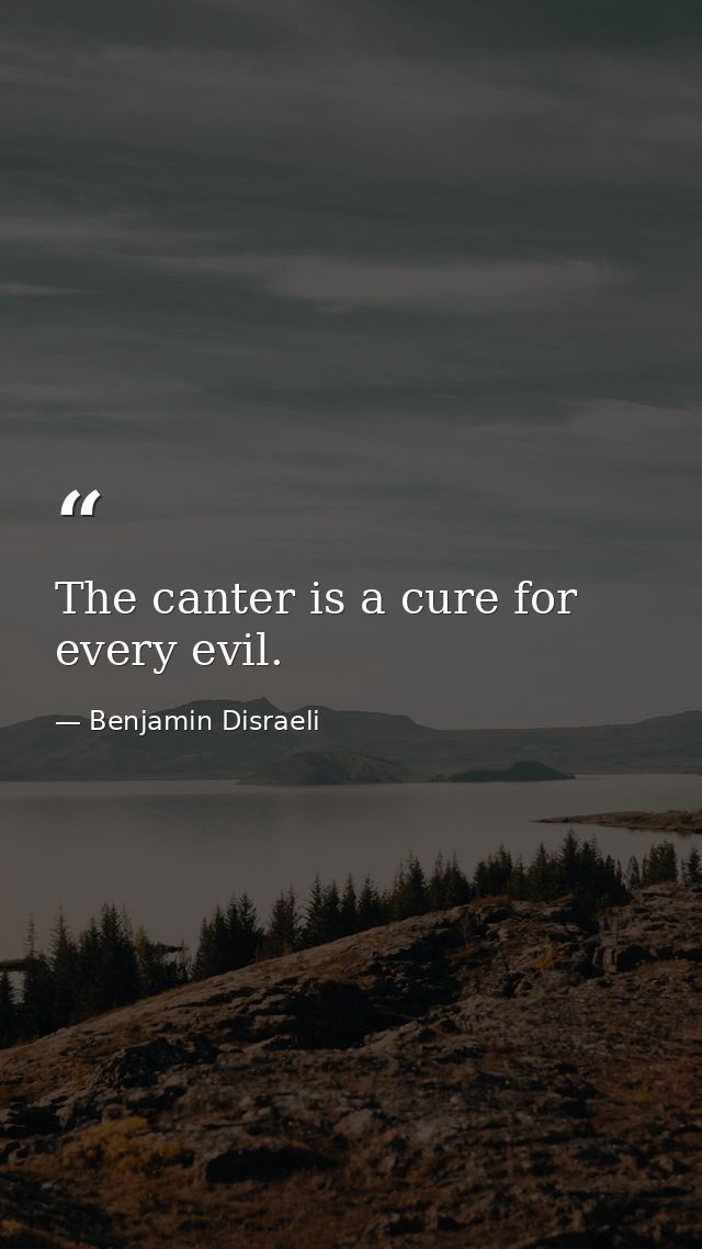 The canter is a cure for every evil. — Benjamin Disraeli