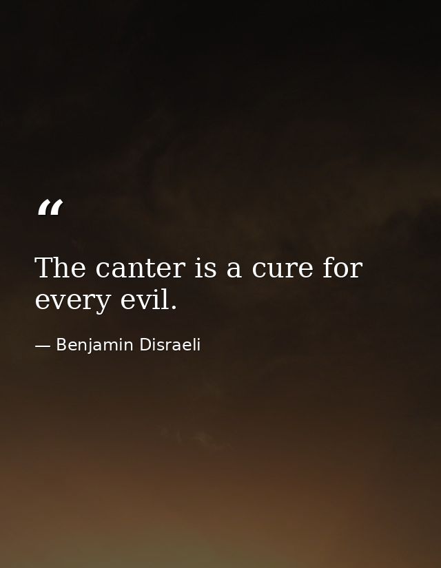 The canter is a cure for every evil. — Benjamin Disraeli