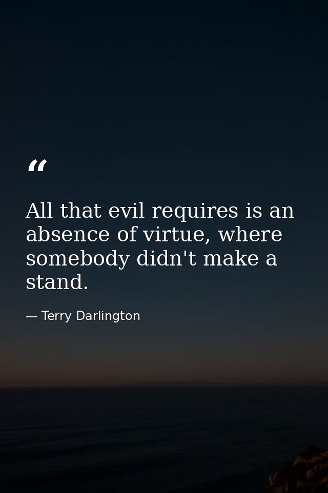 All that evil requires is an absence of virtue, where somebody didn't make a stand. — Terry Darlington