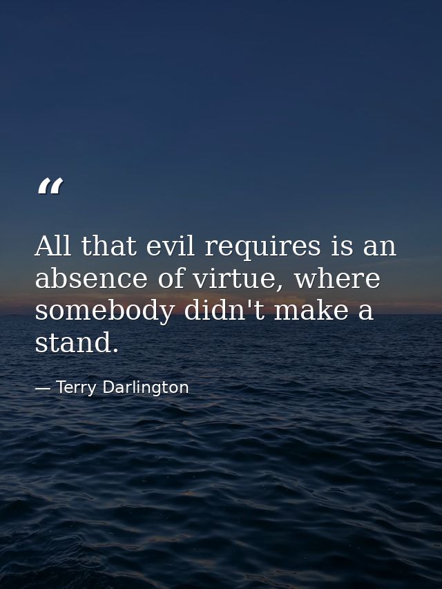 All that evil requires is an absence of virtue, where somebody didn't make a stand. — Terry Darlington