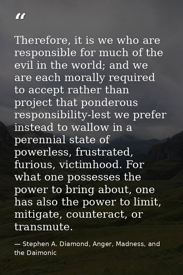 Therefore, it is we who are responsible for much of the evil in the world; and we are each morally required to accept ra — Stephen A. Diamond, Anger, Madness, and the Daimonic