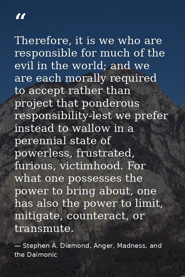 Therefore, it is we who are responsible for much of the evil in the world; and we are each morally required to accept ra — Stephen A. Diamond, Anger, Madness, and the Daimonic